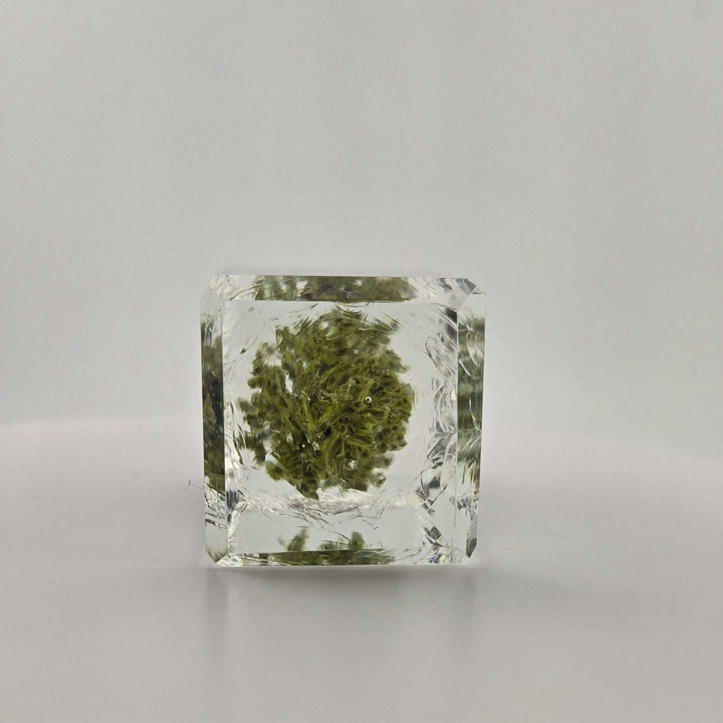 Green Tree Prism Paperweight