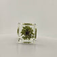 Green Tree Prism Paperweight