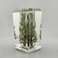 Green Tree Prism Paperweight