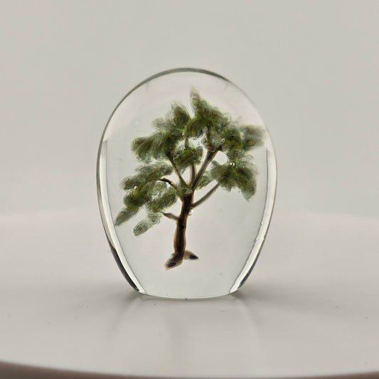 Medium Green Pocket Tree