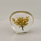 Fall Tree Paperweight