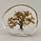 Fall Tree Paperweight