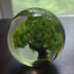 Green Tree Marble