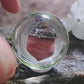 Acorn Tree Marble