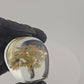 Fall Tree Paperweight