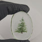 Pine Tree Paperweight