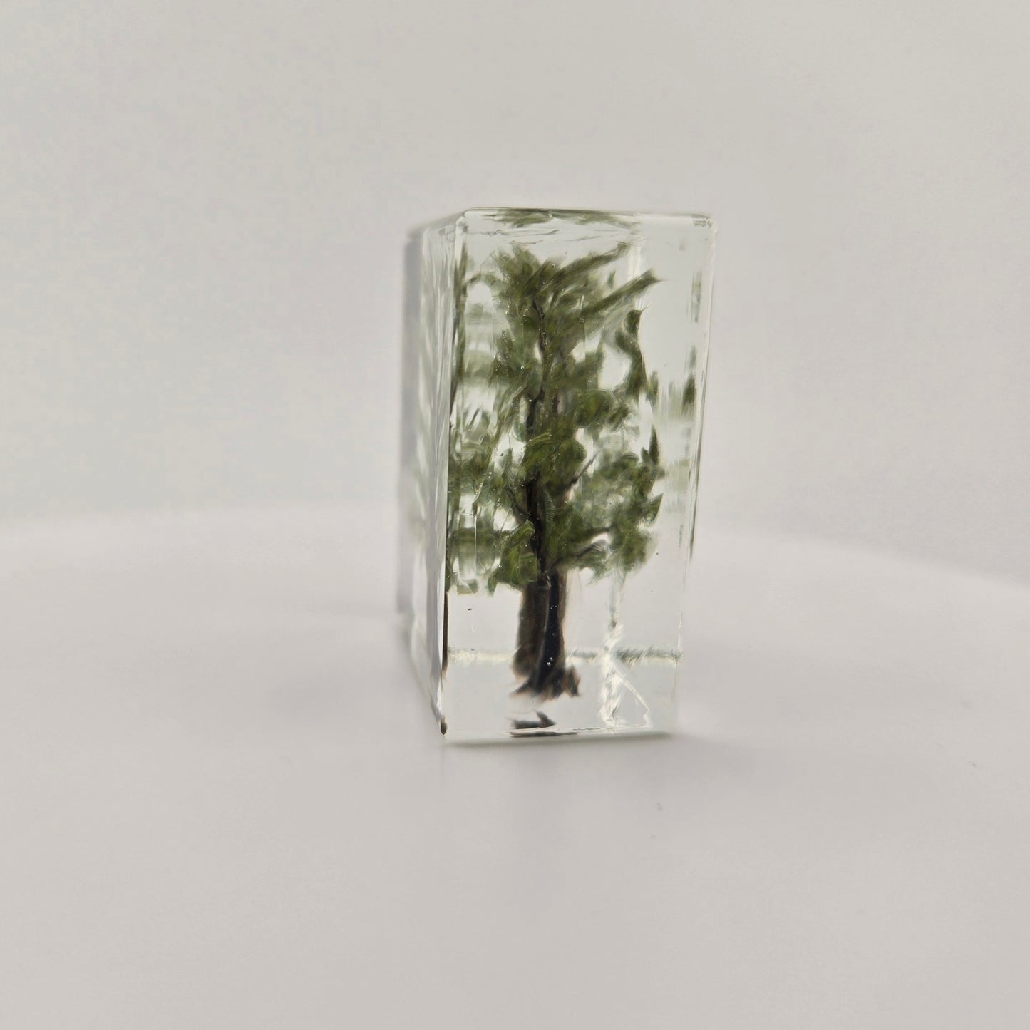 Tree Prism Paperweight