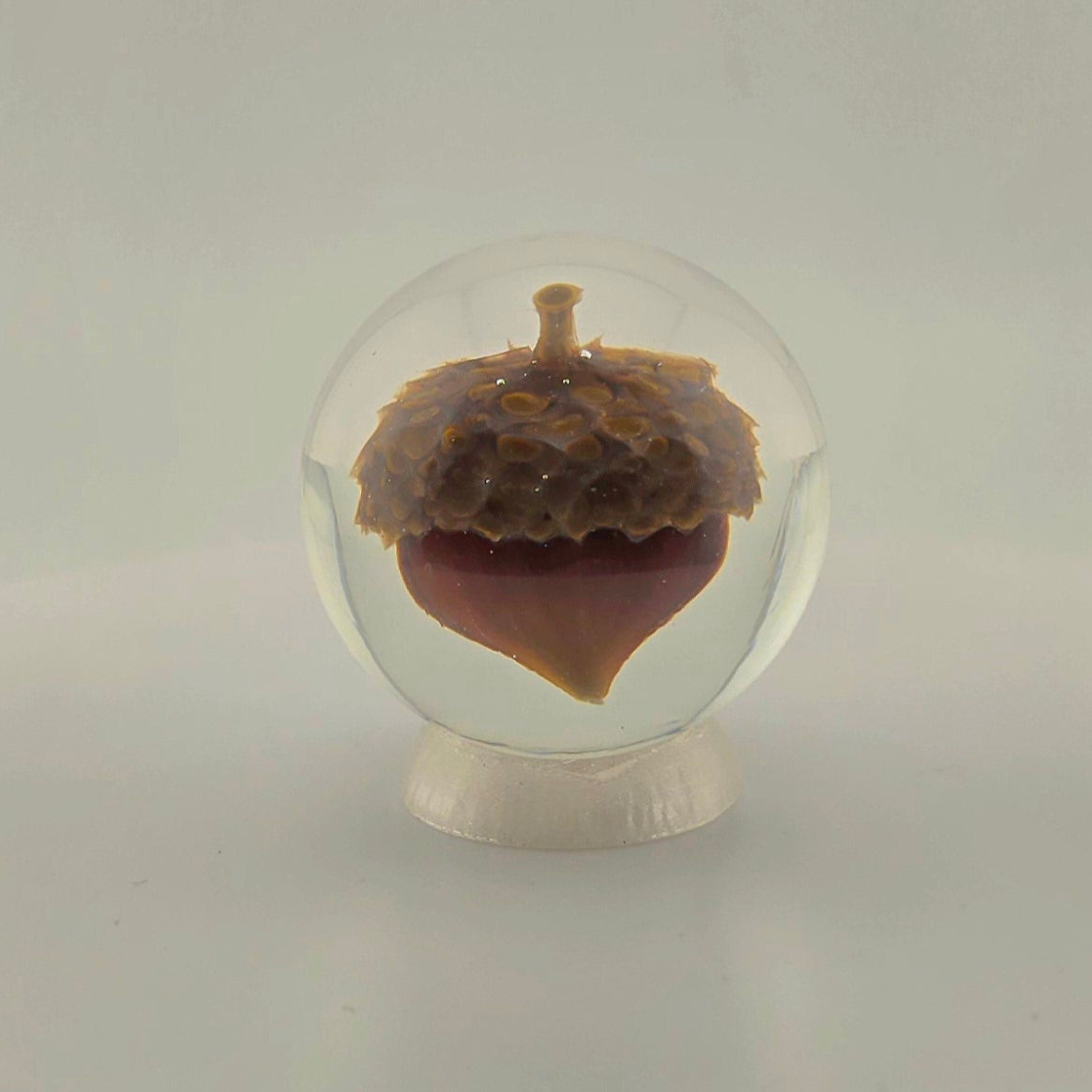 Acorn Marble 1.5"